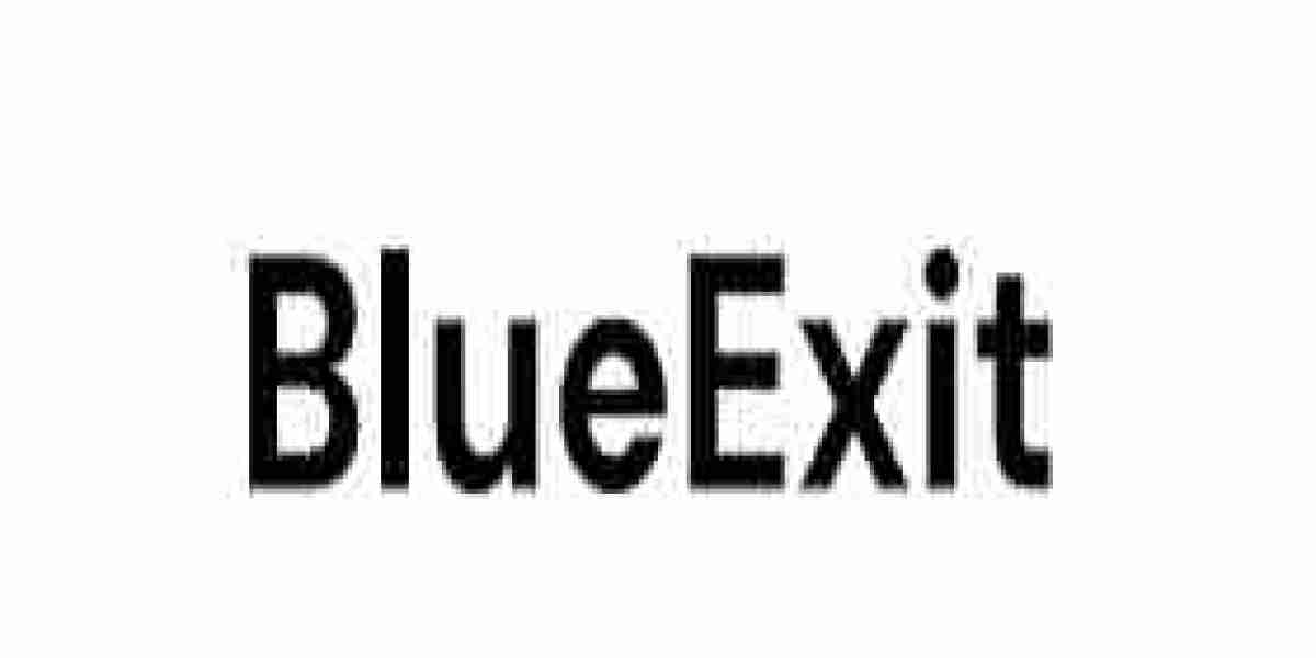 Achieve Maximum Value for Your Business with BlueExit