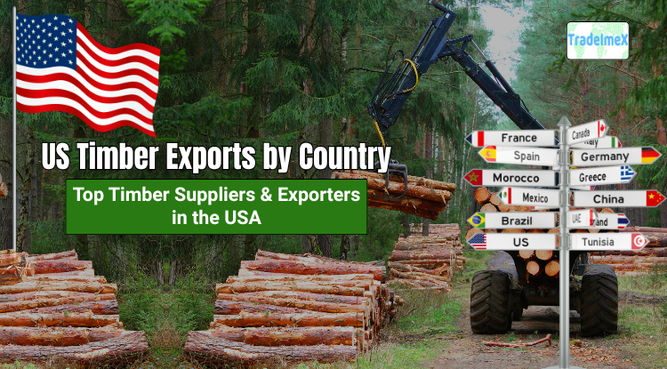 US Timber Exports by Country: Top Timber Suppliers & Exporters in the USA - USimportdata Blog