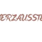 herzaus stein Profile Picture