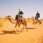 mauritours adventure adventure Profile Picture