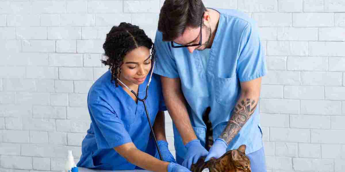 After-Hours Emergency Veterinarian Services: Why Quick Action Could Save Your Pet’s Life