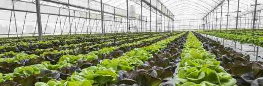 GO2 International Cover Image