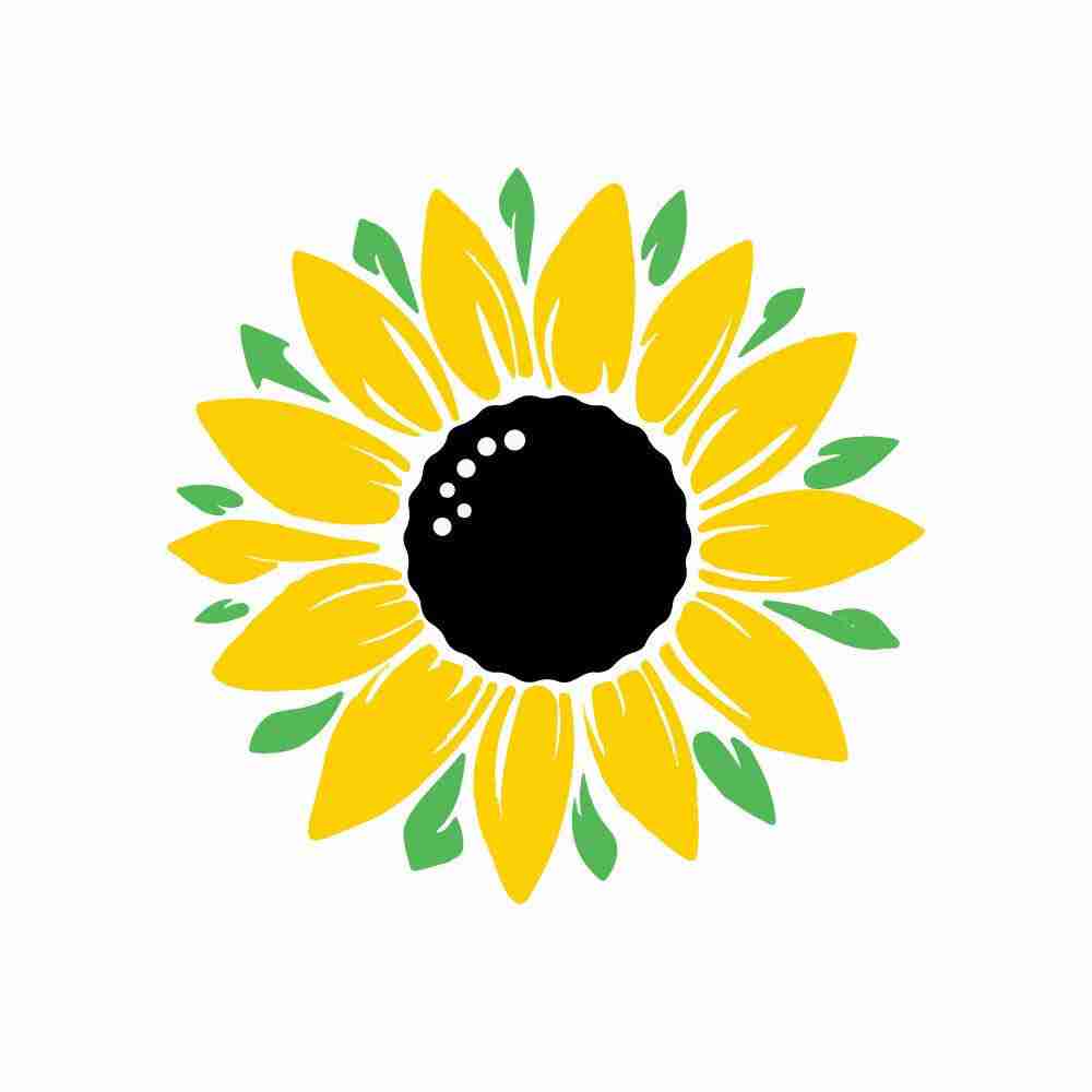 Reliable Renewable Energy Profile Picture