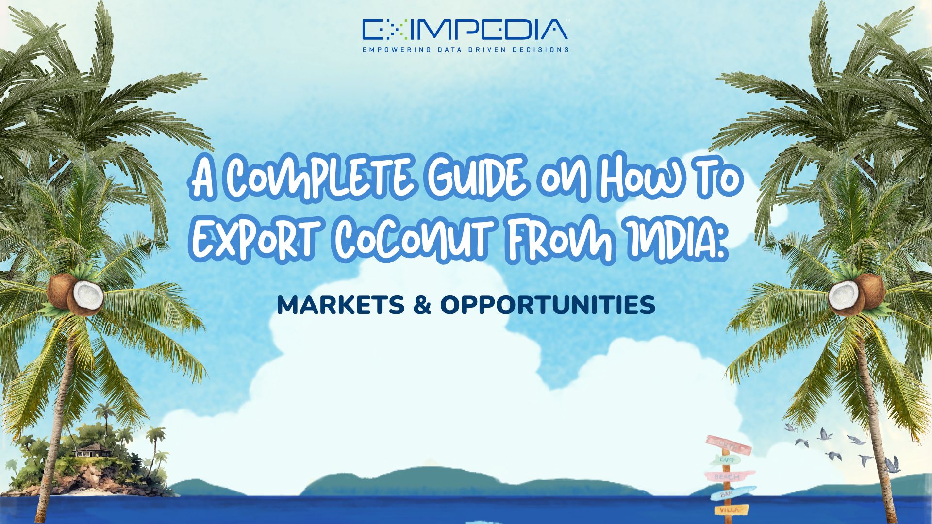 A Complete Guide on How to Export Coconut from India: Markets & Opportunities