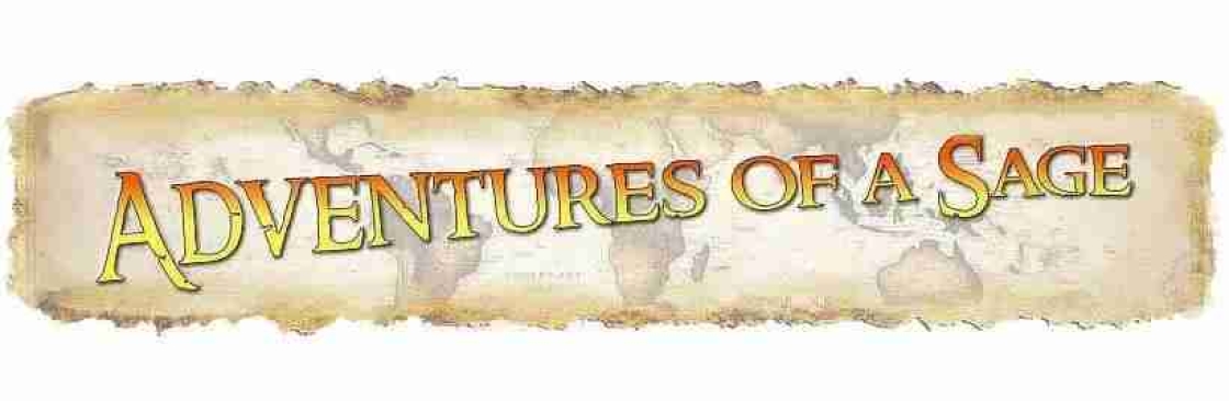 Adventures of a Sage Cover Image