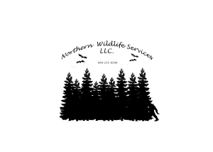 Wildlife Removal Michigan Safe and Effective Services