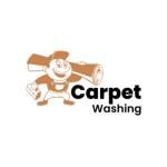 Carpet Washing Profile Picture
