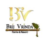 brij vrinda profile picture