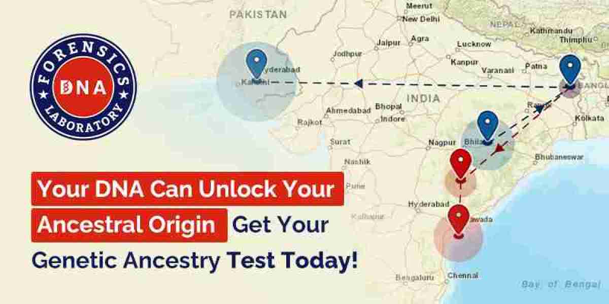 Discover Your Family Roots Through a Simple Ancestry Testing Procedure