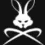 Stegaro Jacket profile picture