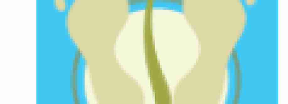 Ians Podiatry Cover Image