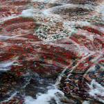 wawe seo profile picture