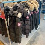 paragooseofficial Profile Picture