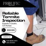 Prolific Inspections profile picture