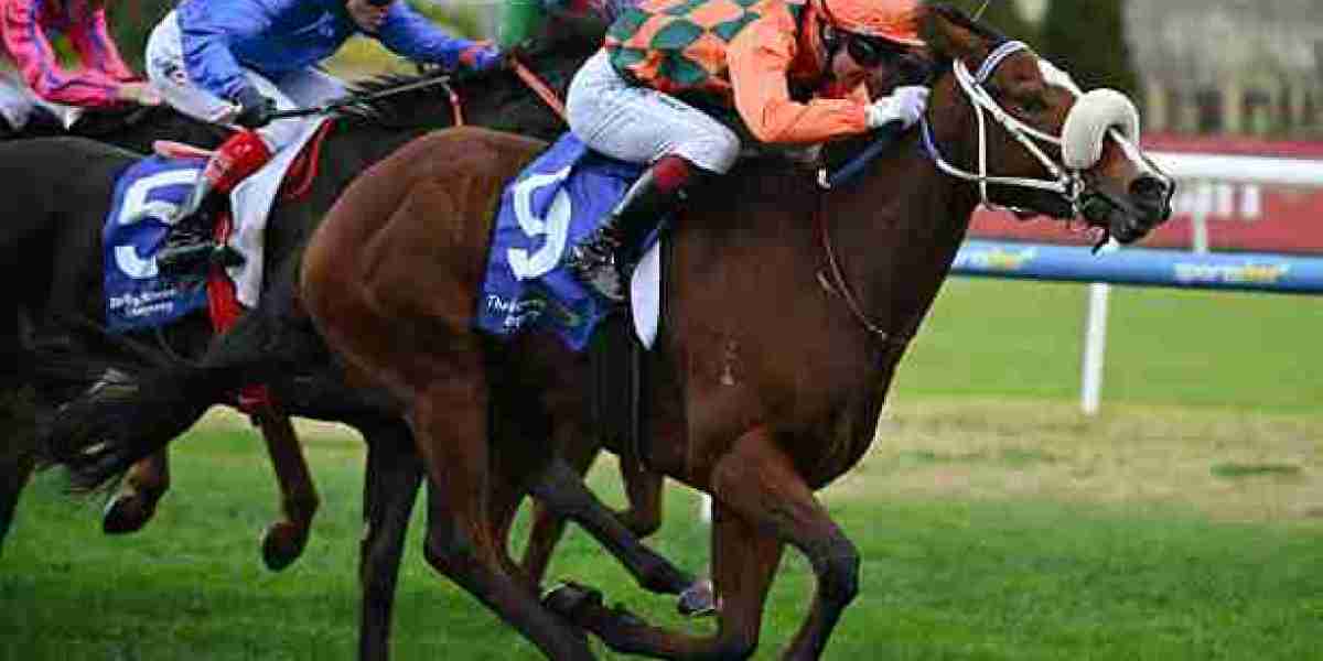 How to Use Late Mail Reports for Better Betting Decisions on Today’s Races