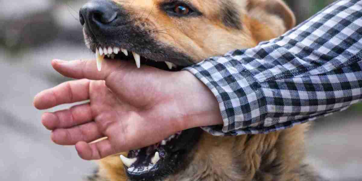 Why Hire a St. Louis Dog Bite Attorney After an Attack