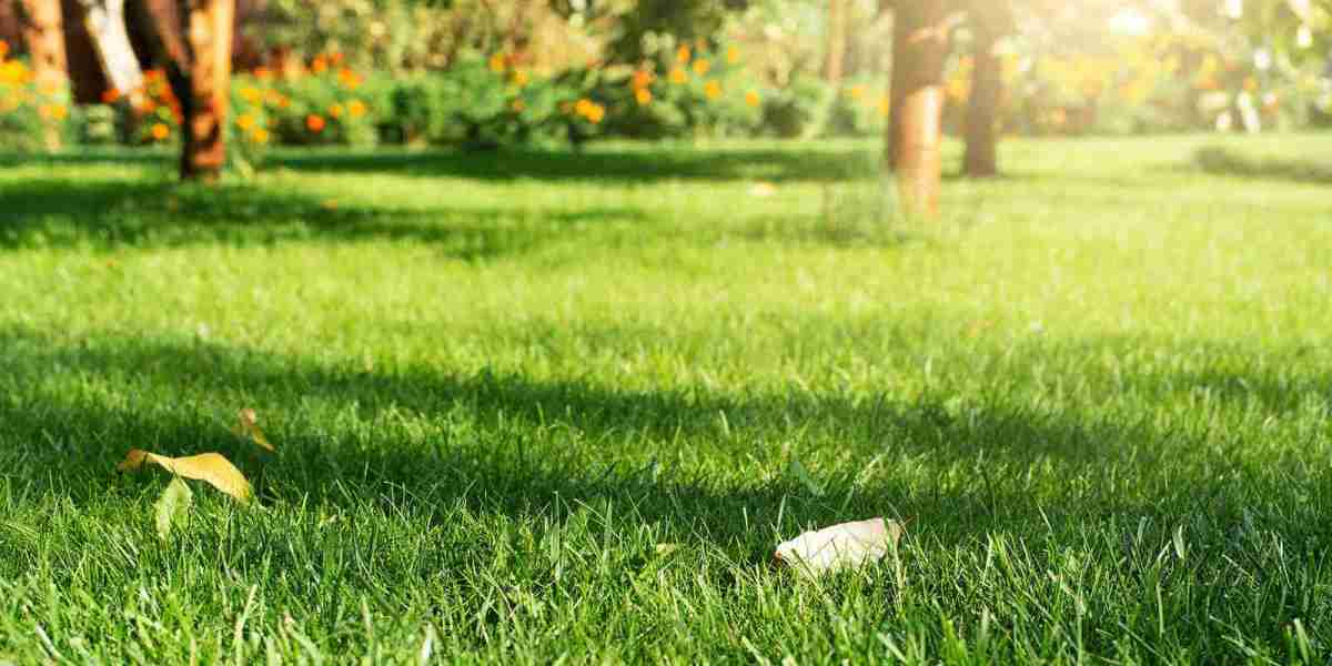 How RP Landscape Delivers Reliable Commercial Landscaping Maintenance for Healthier Professional Business Grounds