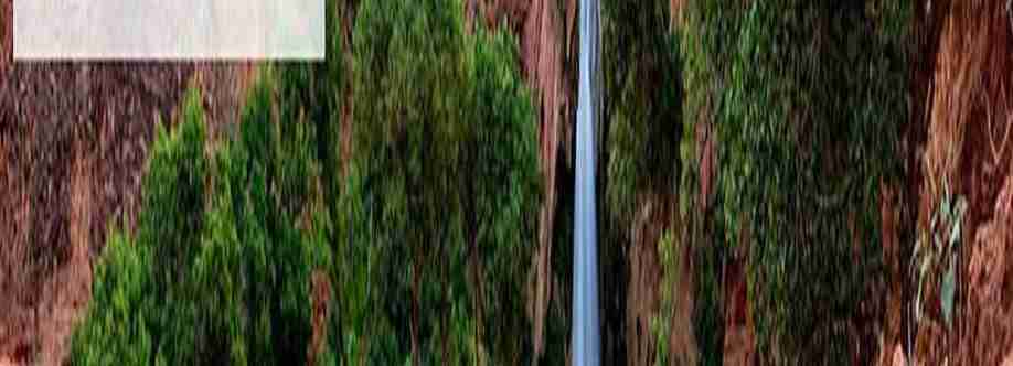 Desert Cove Recovery Cover Image