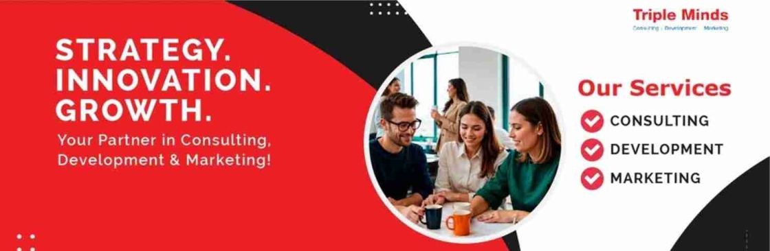 Triple Minds Cover Image