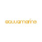 Aqquamarine cleaning Services Profile Picture