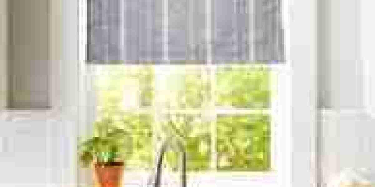Blinds Open: Enhancing Light, Comfort, and Style in Modern Homes