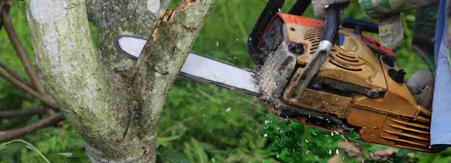 RP Landscape Cover Image