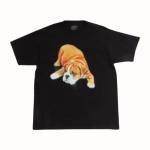 Officialadwysduk74 adwysd profile picture