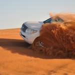 Dubai Desert SafarI Profile Picture