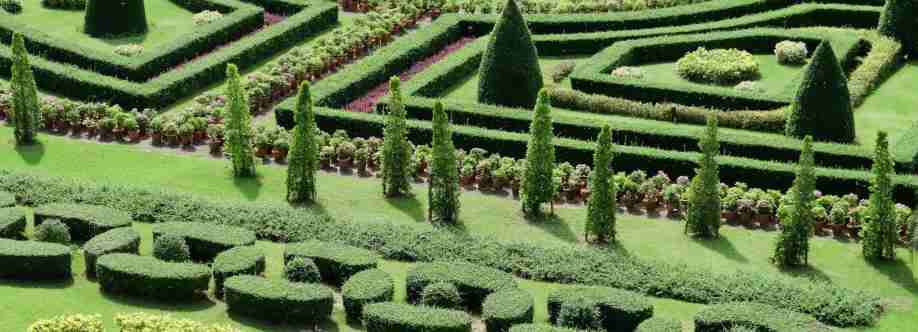 TopiaryTree net Cover Image