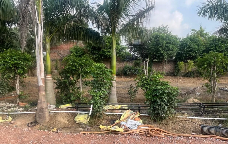 Residential Plots Near Jewar Airport – Smart Living with Maxpine Group - Maxpine Group