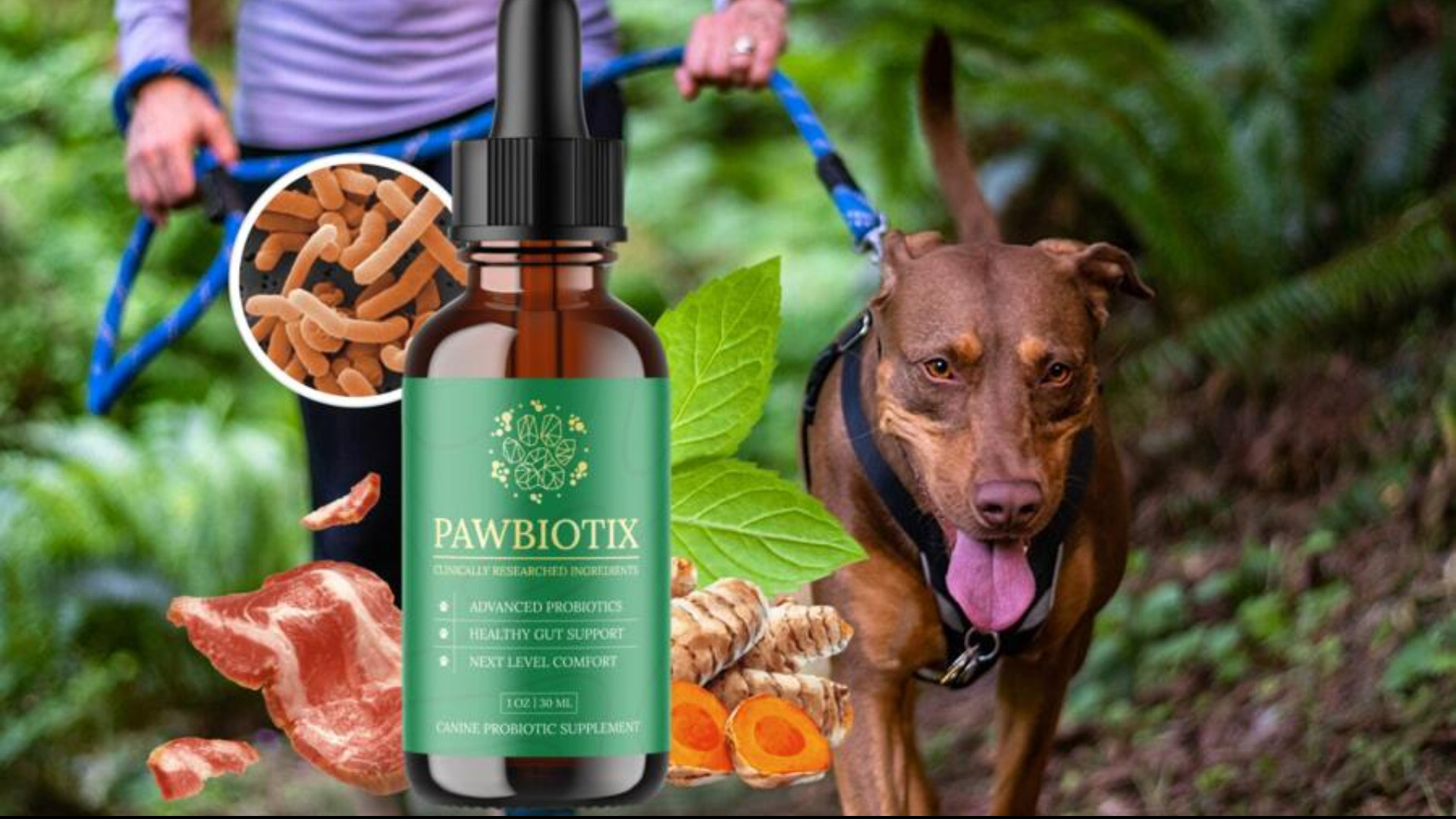 Pawbiotix 2026: Scam or Real Help for Dogs Health?