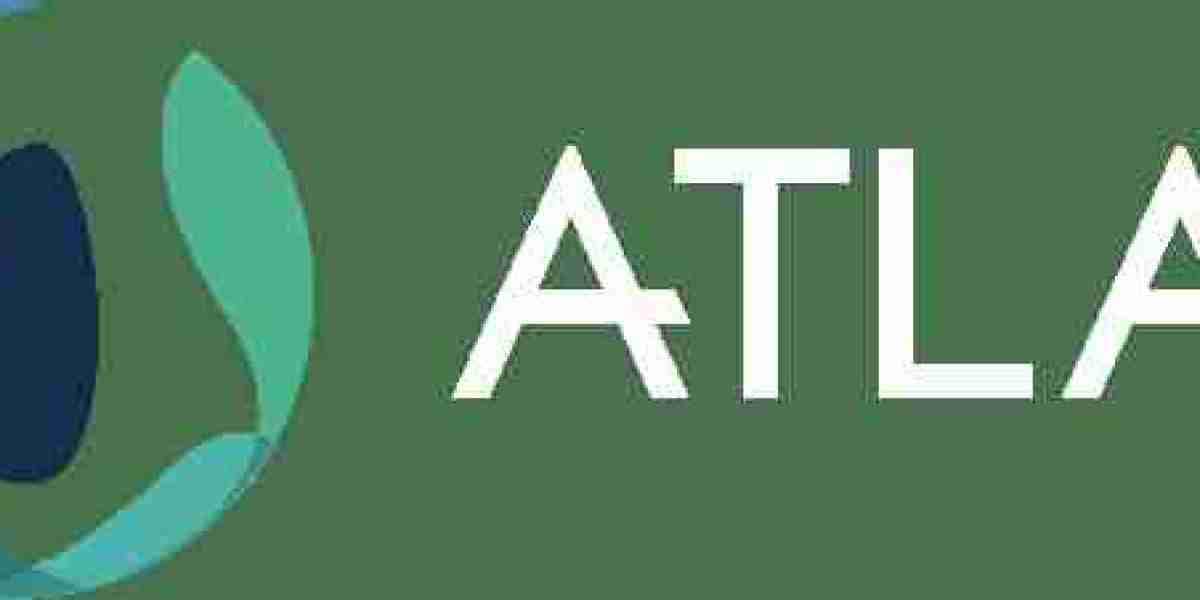 Web Design Bristol: Creating Digital Experiences That Drive Results | atlaswebdesign.co.uk