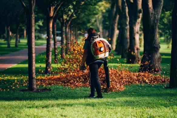 Lawn Clean Up Services: Seasonal Debris Removal and Property Care