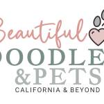 Beautiful doodles Profile Picture