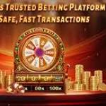 rani kumari Profile Picture