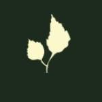 Grove Street Psychiatry profile picture