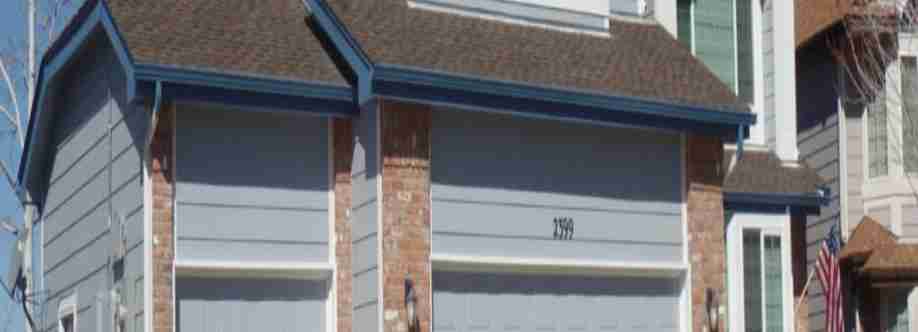 Pro Classic Painting Cover Image