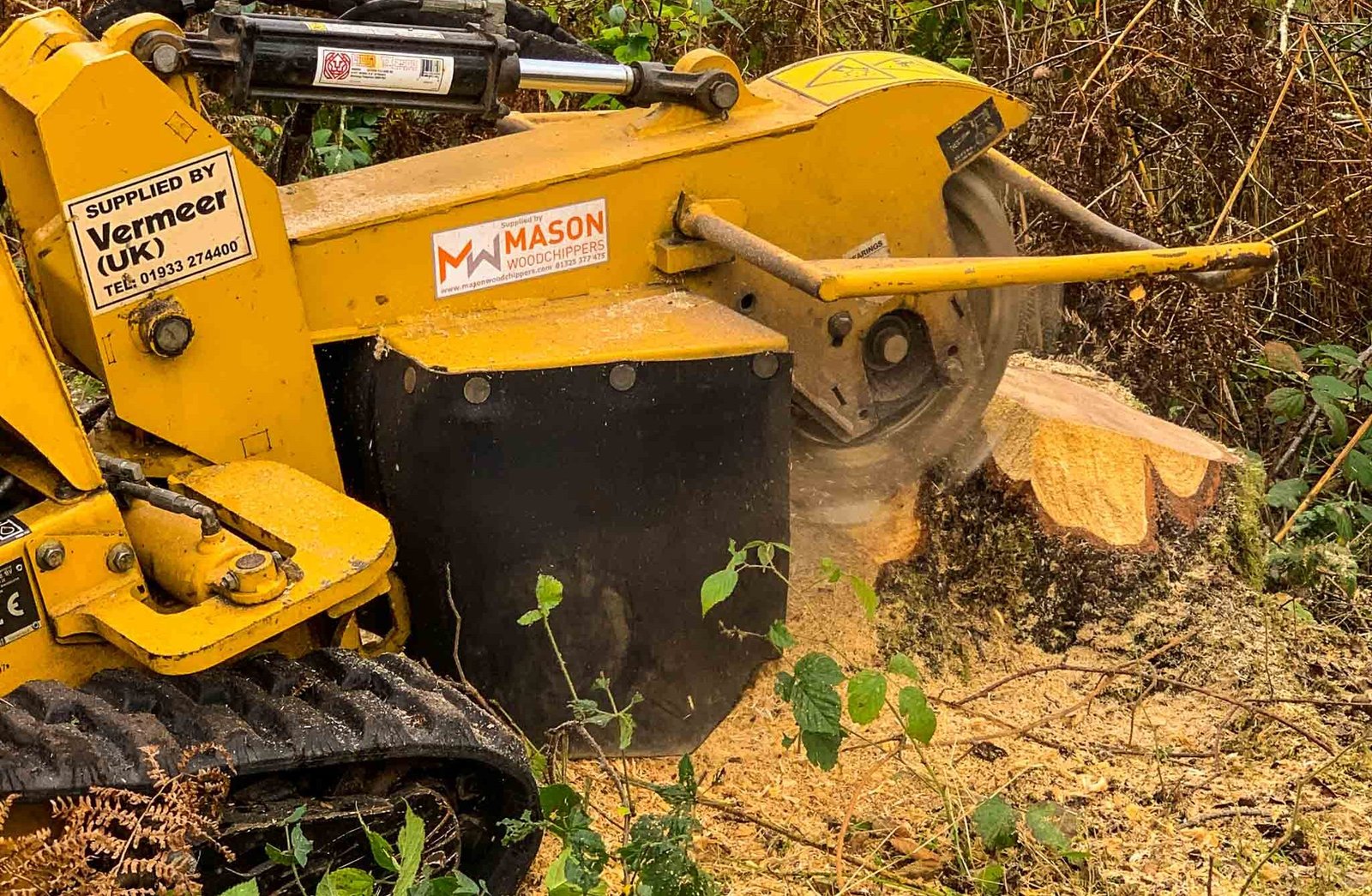 Stump Removal Services in Cumbria & North West | Arborscape