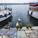 Greece Invests profile picture