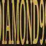 daimond 99 Profile Picture