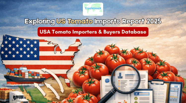 Exploring US Tomato Imports Report 2025: USA Tomato Importers & Buyers Database - Our Blogs - US Trade Data Blogs: Latest Trade Insights
