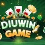 diuwin game Profile Picture