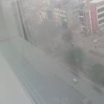 Kylie Jen Profile Picture