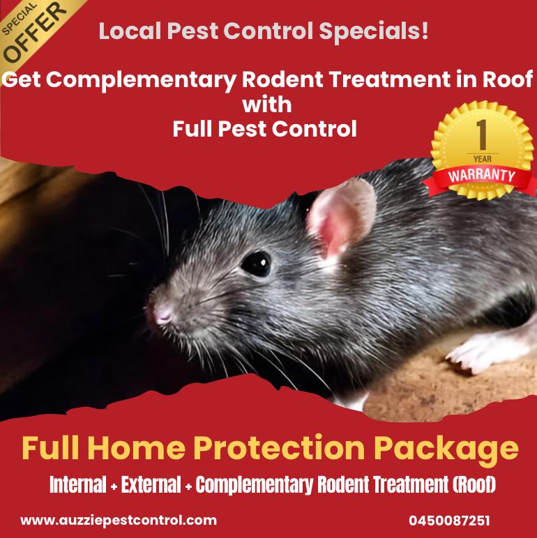 Top Class Pest Control Services Loganlea - Auzzie Pest Control
