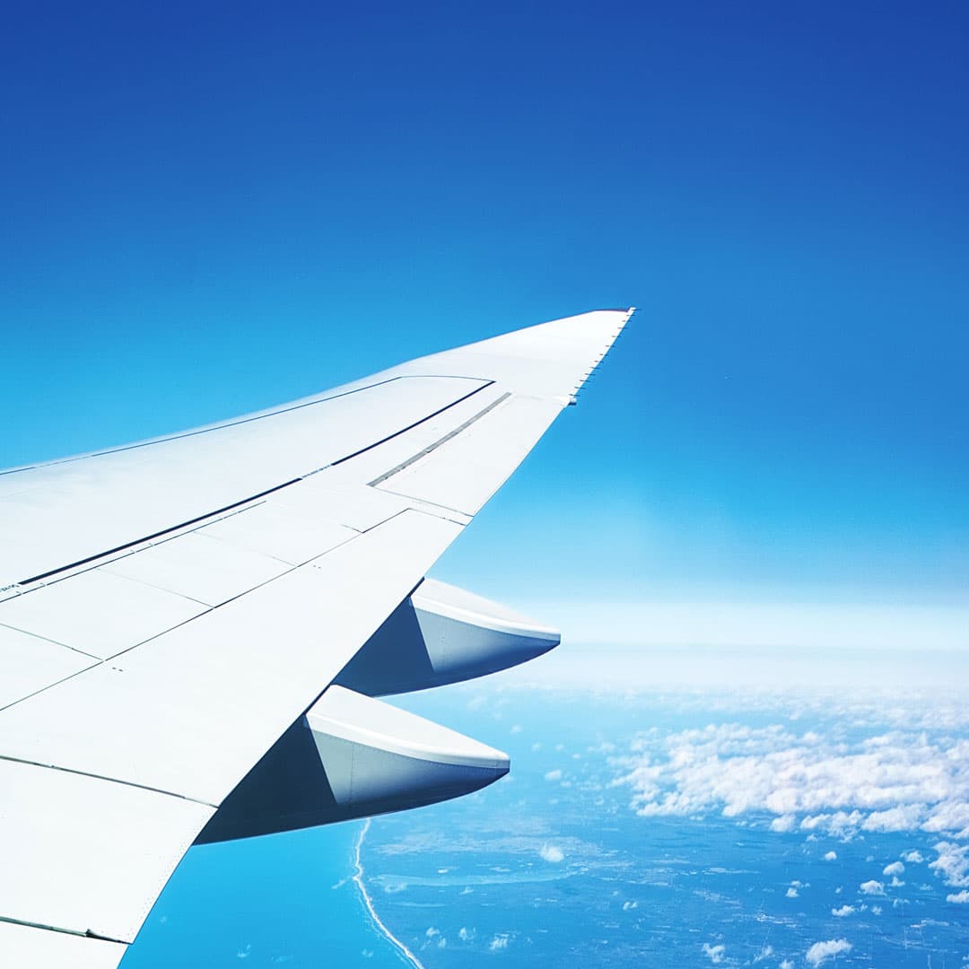 Embryo Transportation Services: Safe International Transport & Cost