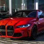 Anshika Sharma profile picture