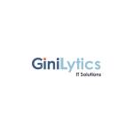 Gini Lytics IT Solutions Profile Picture