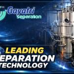 Gayatri Separation Profile Picture