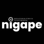 nigape socials Profile Picture
