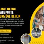 BlingBling Umzuege Profile Picture